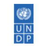 Working with United Nations Development Programme